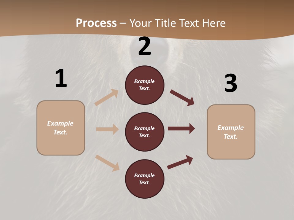 A Brown Bear Standing In Front Of A Mountain PowerPoint Template