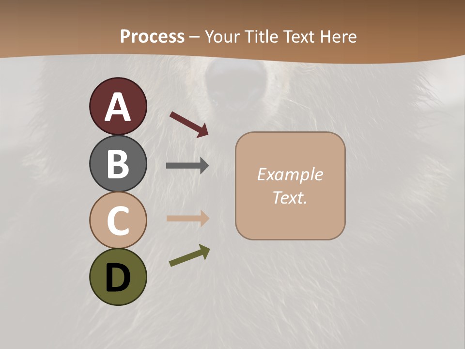 A Brown Bear Standing In Front Of A Mountain PowerPoint Template