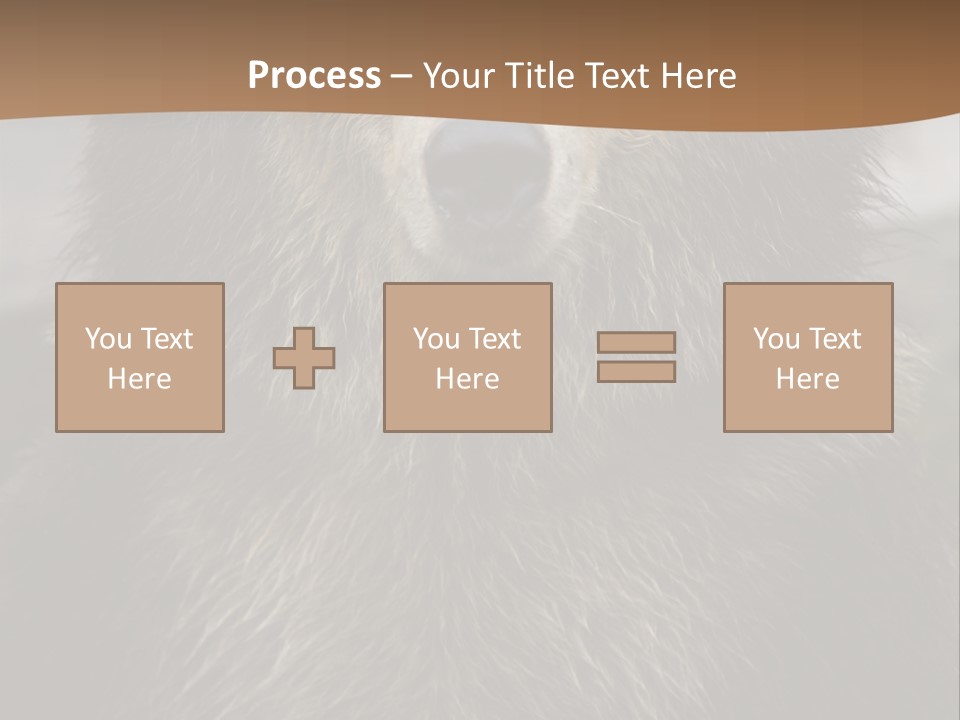 A Brown Bear Standing In Front Of A Mountain PowerPoint Template