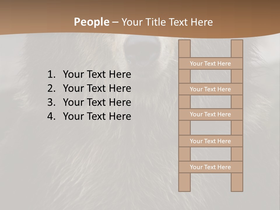 A Brown Bear Standing In Front Of A Mountain PowerPoint Template