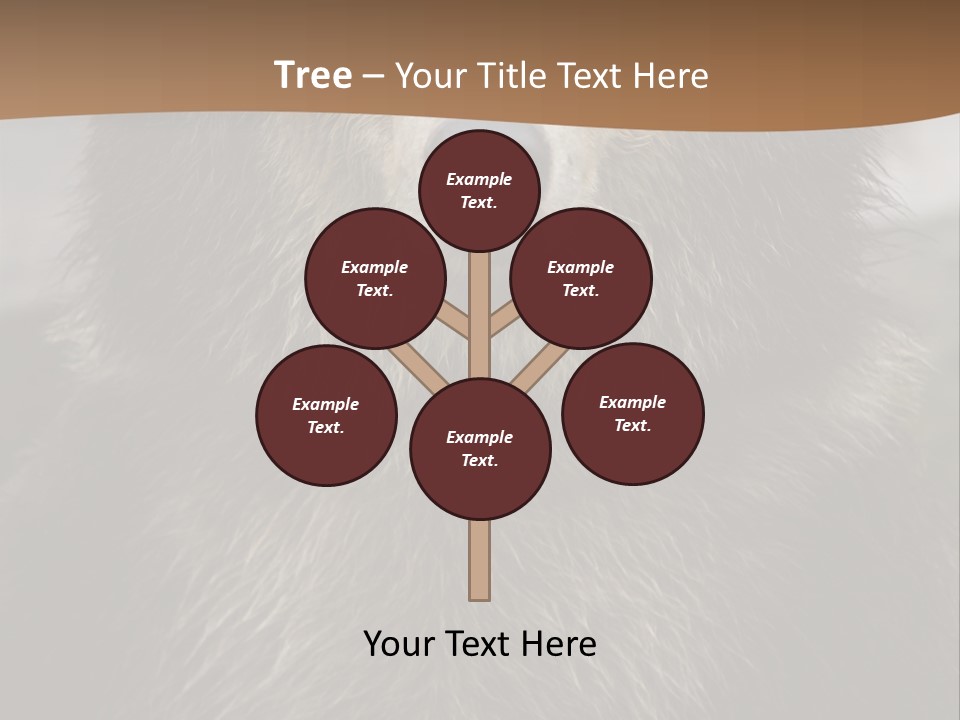 A Brown Bear Standing In Front Of A Mountain PowerPoint Template