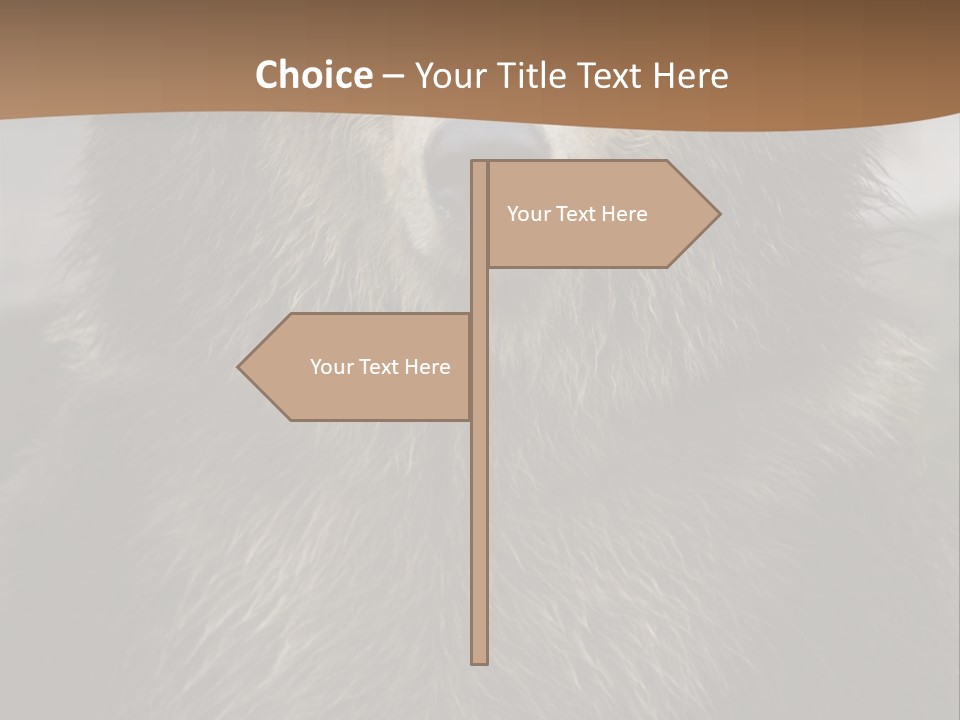A Brown Bear Standing In Front Of A Mountain PowerPoint Template