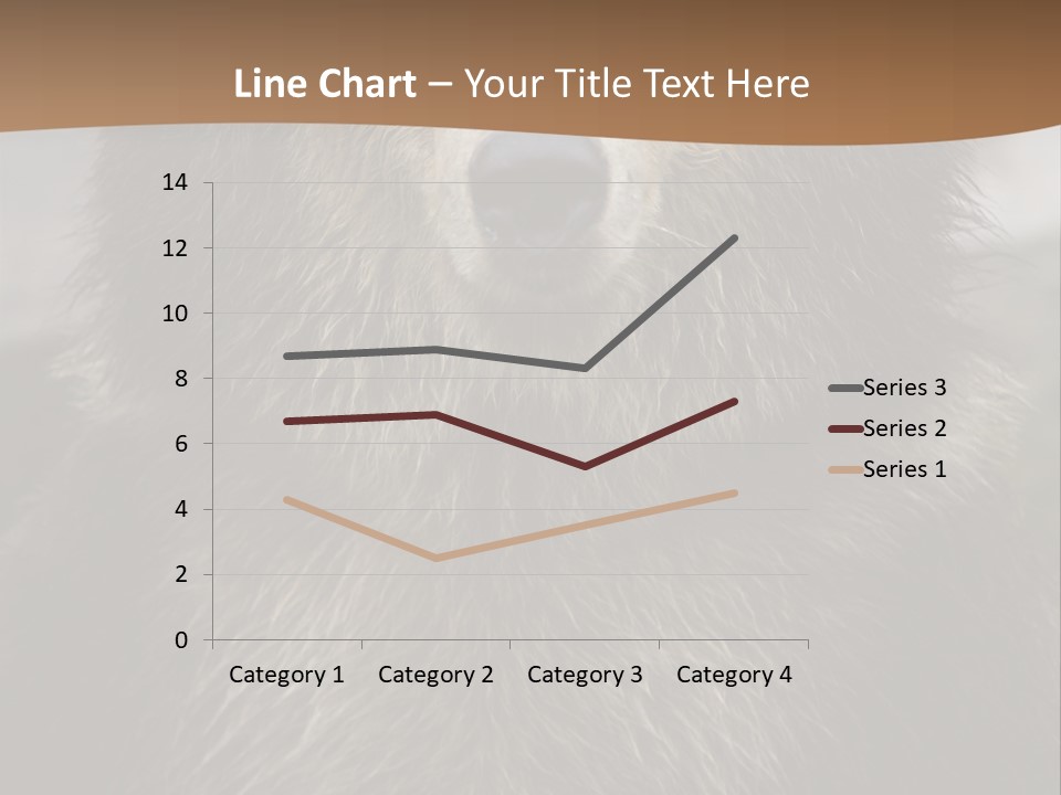 A Brown Bear Standing In Front Of A Mountain PowerPoint Template
