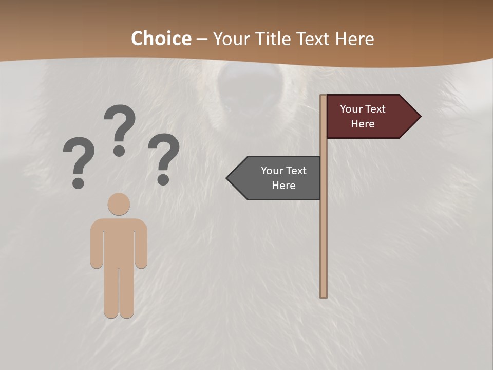 A Brown Bear Standing In Front Of A Mountain PowerPoint Template