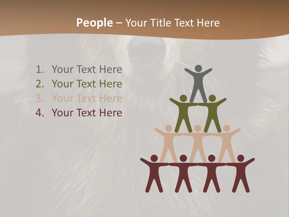 A Brown Bear Standing In Front Of A Mountain PowerPoint Template