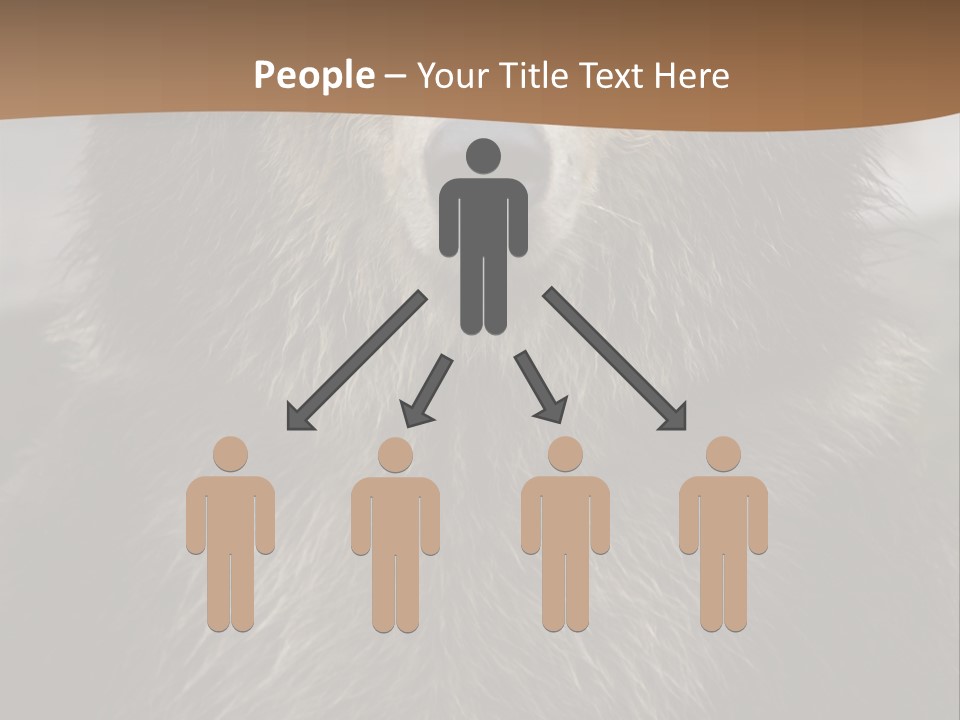 A Brown Bear Standing In Front Of A Mountain PowerPoint Template