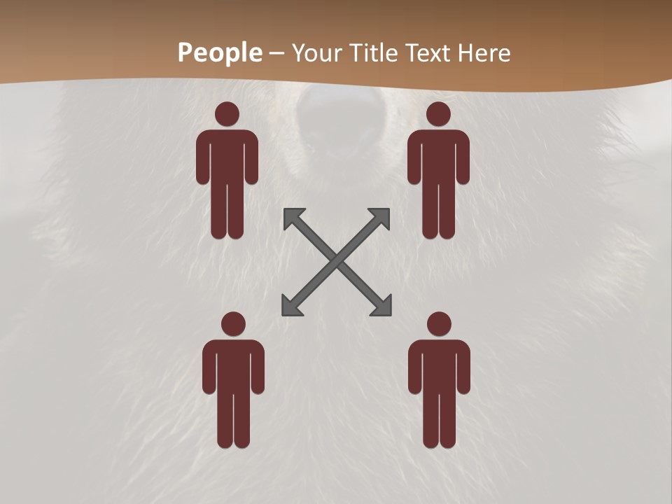 A Brown Bear Standing In Front Of A Mountain PowerPoint Template