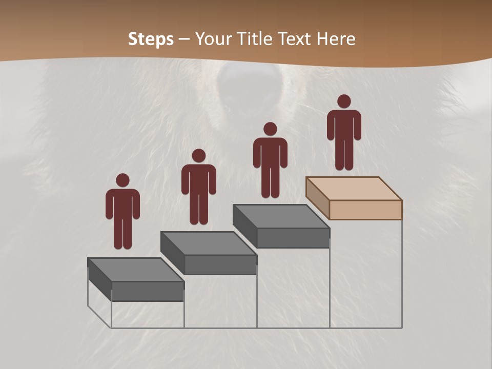 A Brown Bear Standing In Front Of A Mountain PowerPoint Template