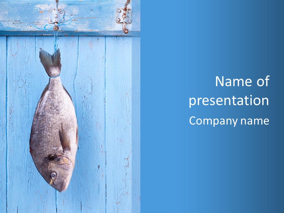 A Fish Hanging From A Hook On A Blue Wall PowerPoint Template