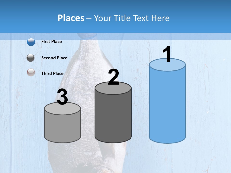 A Fish Hanging From A Hook On A Blue Wall PowerPoint Template