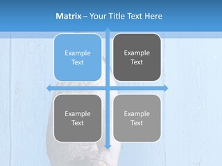 A Fish Hanging From A Hook On A Blue Wall PowerPoint Template