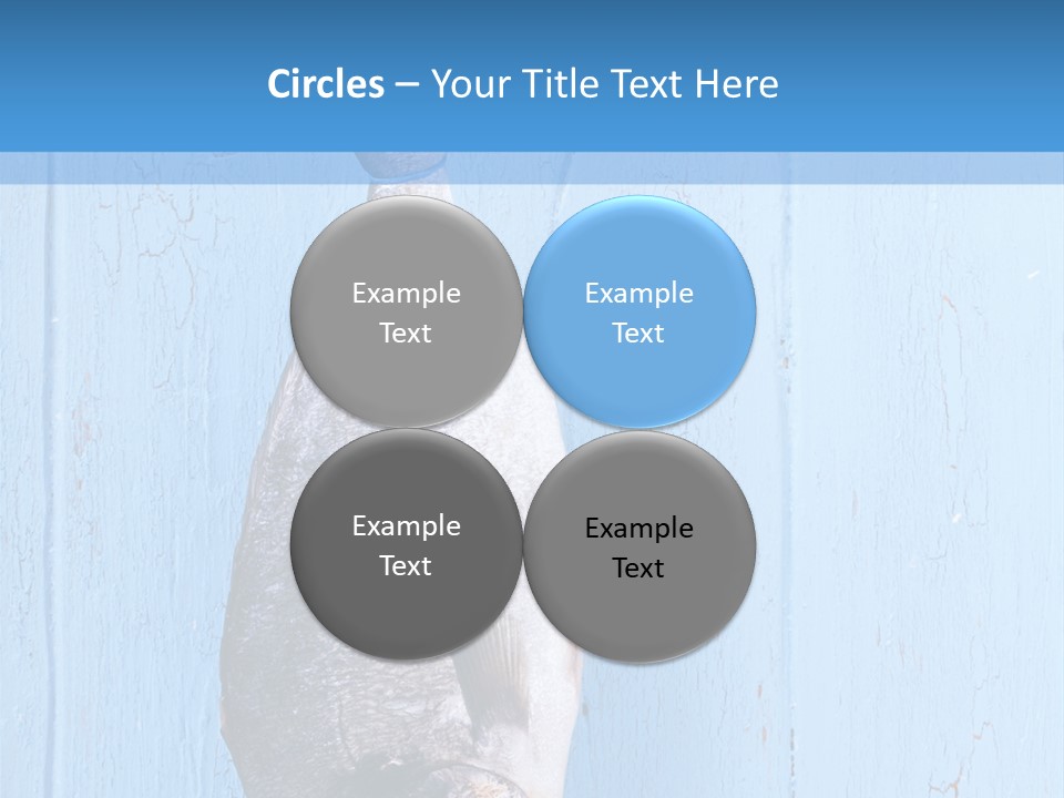 A Fish Hanging From A Hook On A Blue Wall PowerPoint Template