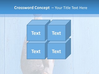 A Fish Hanging From A Hook On A Blue Wall PowerPoint Template