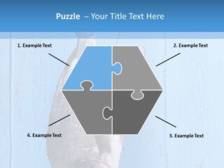 A Fish Hanging From A Hook On A Blue Wall PowerPoint Template