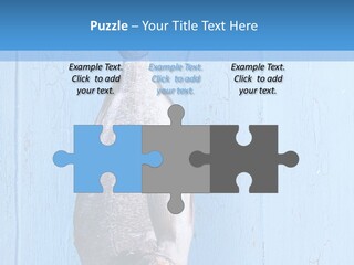 A Fish Hanging From A Hook On A Blue Wall PowerPoint Template