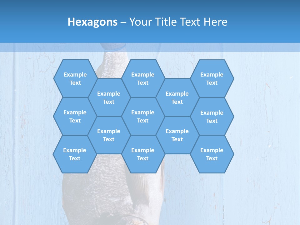 A Fish Hanging From A Hook On A Blue Wall PowerPoint Template