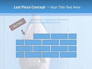 A Fish Hanging From A Hook On A Blue Wall PowerPoint Template