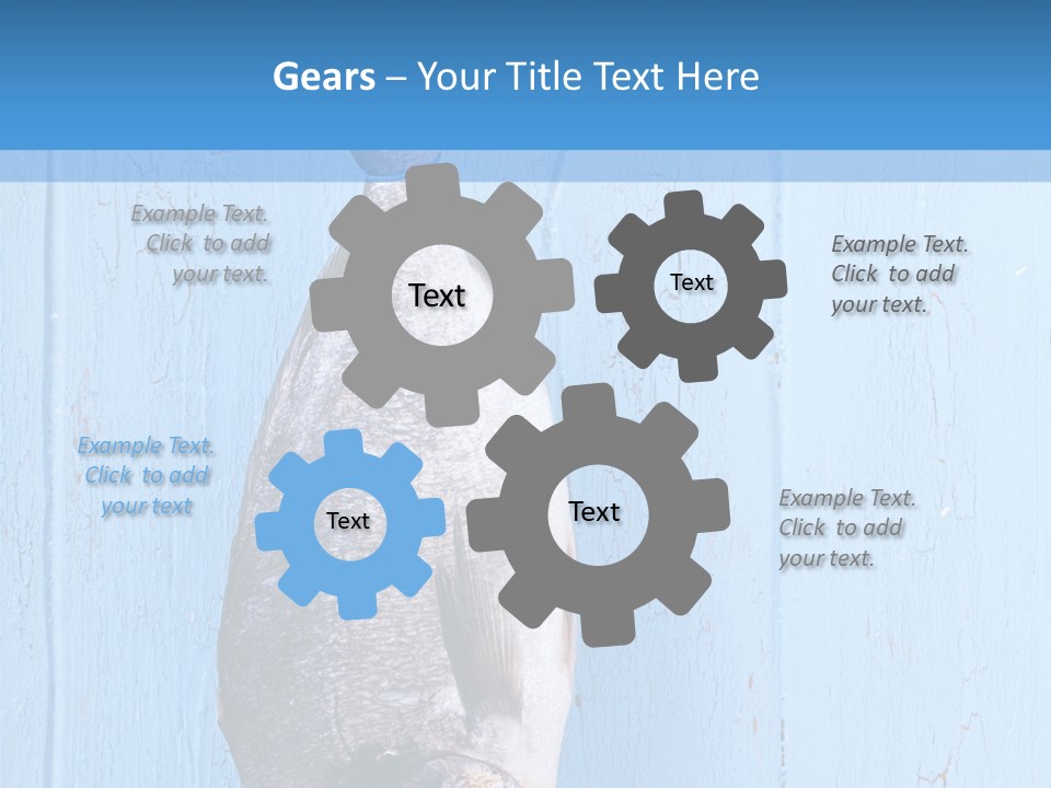 A Fish Hanging From A Hook On A Blue Wall PowerPoint Template