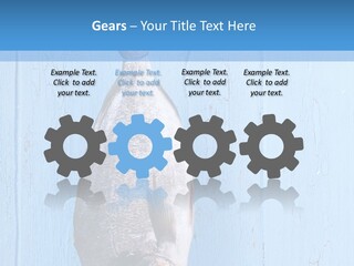 A Fish Hanging From A Hook On A Blue Wall PowerPoint Template