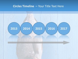 A Fish Hanging From A Hook On A Blue Wall PowerPoint Template