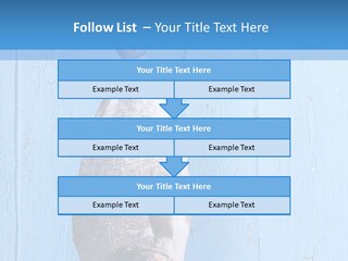 A Fish Hanging From A Hook On A Blue Wall PowerPoint Template