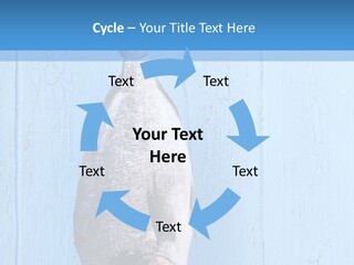A Fish Hanging From A Hook On A Blue Wall PowerPoint Template