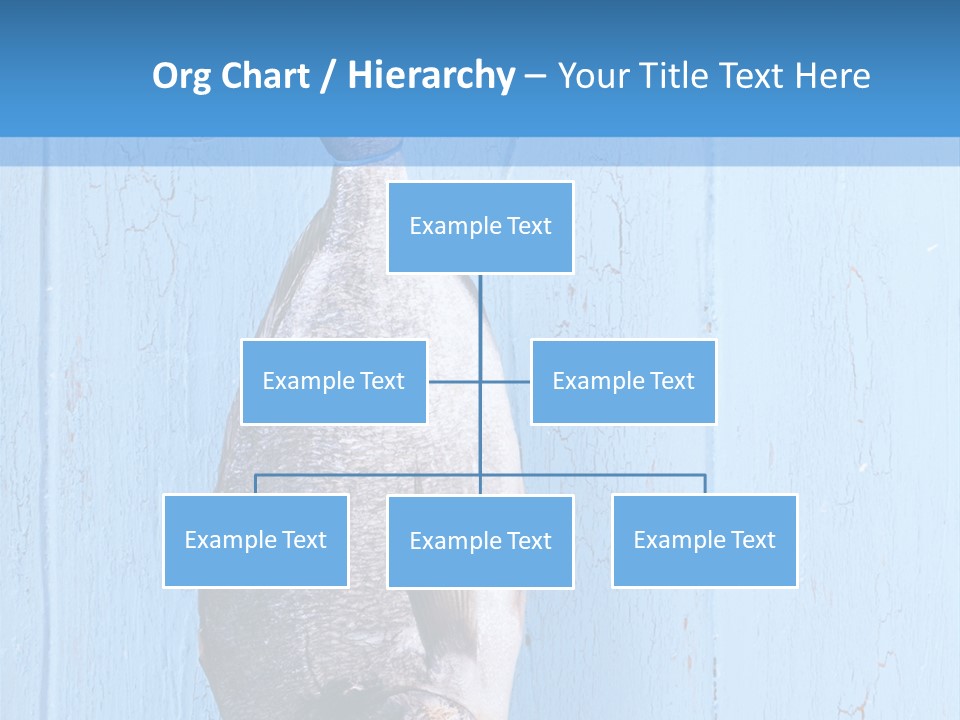 A Fish Hanging From A Hook On A Blue Wall PowerPoint Template