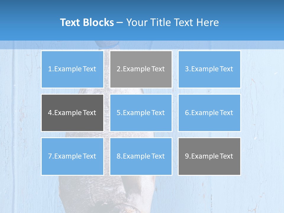 A Fish Hanging From A Hook On A Blue Wall PowerPoint Template