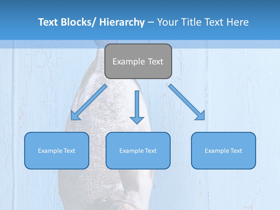 A Fish Hanging From A Hook On A Blue Wall PowerPoint Template