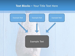 A Fish Hanging From A Hook On A Blue Wall PowerPoint Template