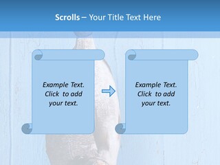 A Fish Hanging From A Hook On A Blue Wall PowerPoint Template