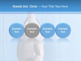 A Fish Hanging From A Hook On A Blue Wall PowerPoint Template