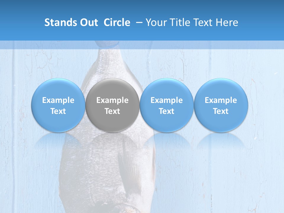 A Fish Hanging From A Hook On A Blue Wall PowerPoint Template