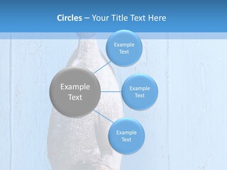 A Fish Hanging From A Hook On A Blue Wall PowerPoint Template