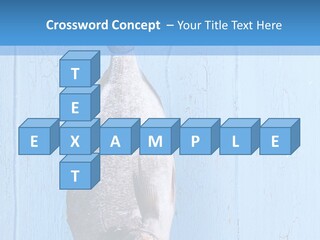 A Fish Hanging From A Hook On A Blue Wall PowerPoint Template