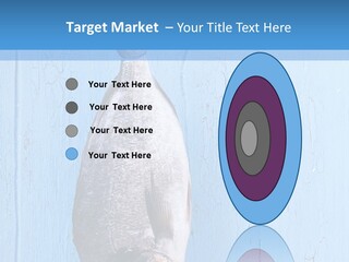 A Fish Hanging From A Hook On A Blue Wall PowerPoint Template