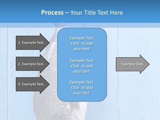 A Fish Hanging From A Hook On A Blue Wall PowerPoint Template