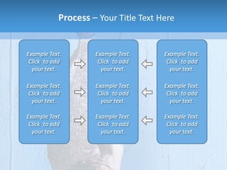 A Fish Hanging From A Hook On A Blue Wall PowerPoint Template