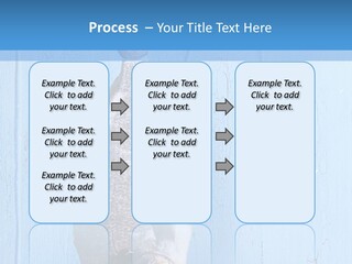 A Fish Hanging From A Hook On A Blue Wall PowerPoint Template