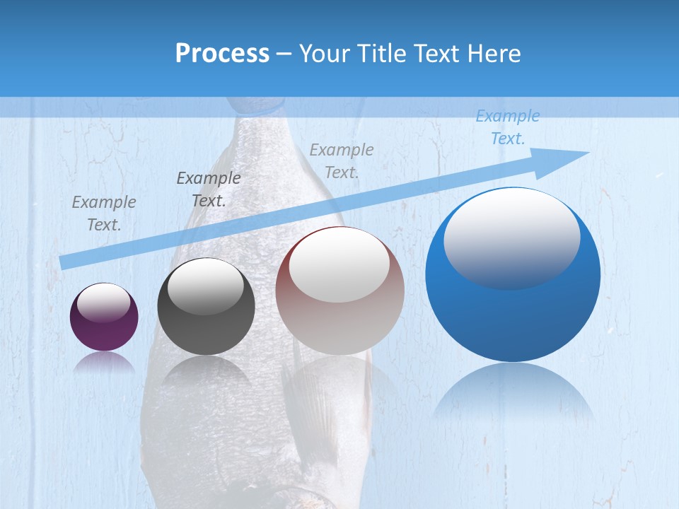 A Fish Hanging From A Hook On A Blue Wall PowerPoint Template