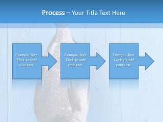 A Fish Hanging From A Hook On A Blue Wall PowerPoint Template