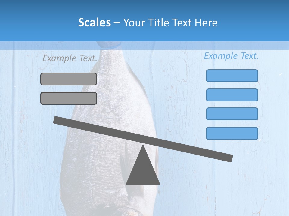 A Fish Hanging From A Hook On A Blue Wall PowerPoint Template