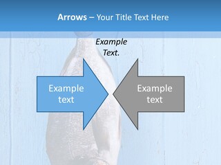 A Fish Hanging From A Hook On A Blue Wall PowerPoint Template