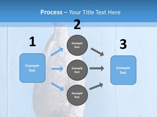 A Fish Hanging From A Hook On A Blue Wall PowerPoint Template