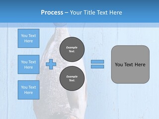 A Fish Hanging From A Hook On A Blue Wall PowerPoint Template