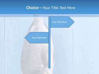 A Fish Hanging From A Hook On A Blue Wall PowerPoint Template