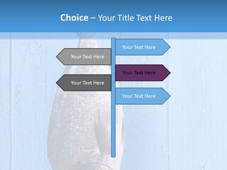 A Fish Hanging From A Hook On A Blue Wall PowerPoint Template