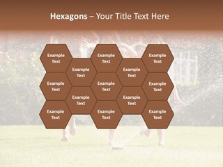 A Group Of Kids Playing In A Sprinkle Of Water PowerPoint Template