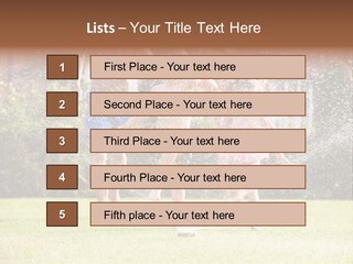 A Group Of Kids Playing In A Sprinkle Of Water PowerPoint Template