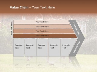 A Group Of Kids Playing In A Sprinkle Of Water PowerPoint Template